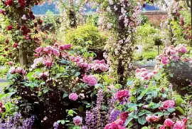 Mottisfons Angleterre