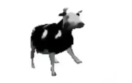 vaquinha amigas do mark