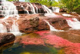 Descubran la imagen.