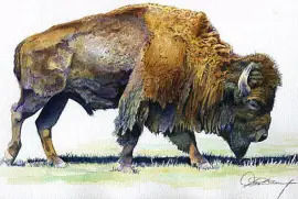 פאזל של US History