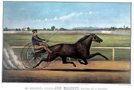 פאזל של US History