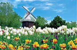 Imagem jigsaw puzzle