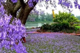 imagem jigsaw puzzle