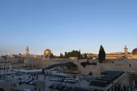 ×”×›×•×ª×œ ×”×ž×¢×¨×‘×™(×™×©×¨××œ)!!!