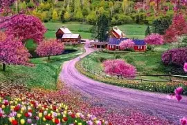 imagem jigsaw puzzle