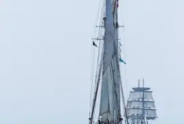 Bluenose ll and Eagle - Halifax, Nova Scotia