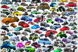 WHAT 'S YOUR BUG - VW BEETLE