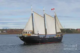 tall-ship-silva-in-halifax-nova-scotia-harbor
