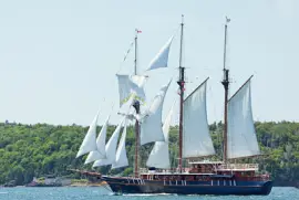 Tall Ships , Halifax 02