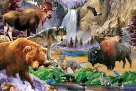 YELLOWSTONE NATIONAL PARK