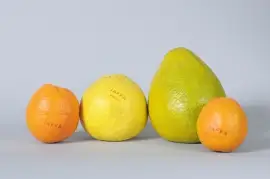 ×ž×©×¤×—×ª ×¤×¨×™ ×”×“×¨