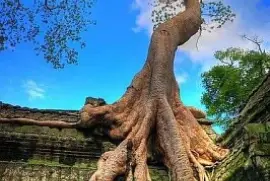 TEMPLO DE CAMBOYA jigsaw puzzle