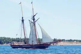 Amisitad - Halifax Harbour, Nova Scotia