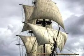 Black and Yellow  The Wasp