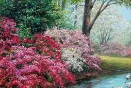 paesaggi jigsaw puzzle