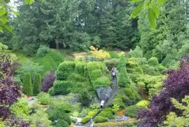 garden jigsaw puzzle