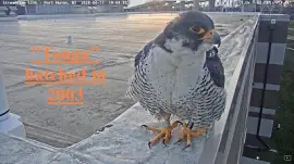  "Tonga ", Port Huron,MI/USA