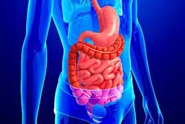 Sistema digestÃ³rio