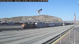 Bar BNSF-9323   Flag   Bird