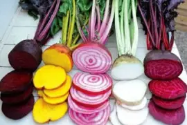 verduras
