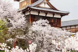 imagem jigsaw puzzle