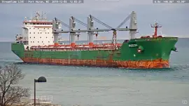 :saltie  "  Wigeon southbound off of Lake Huron