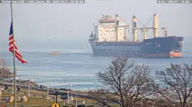  "saltie " m/v Belasitza