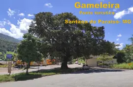 Gameleira