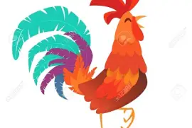 rooster