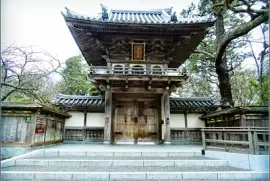 JARDIN DEL TE JAPONES