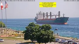  "saltie  " m/v Whistler exiting Lake Huron southbound