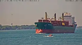 "saltie " Chestnut northbound to Lake Huron