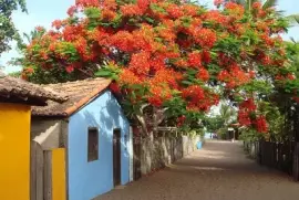 vila das flores