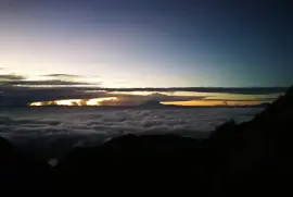 Juan Francisco Rojas