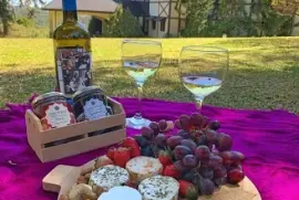 CENÁRIO K647 jigsaw puzzle