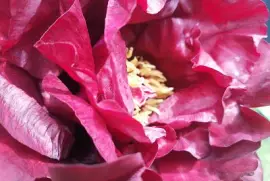 magenta jigsaw puzzle