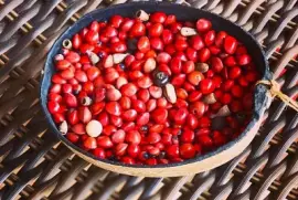 CENÁRIO K657 jigsaw puzzle