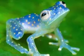 CENÁRIO K659 jigsaw puzzle