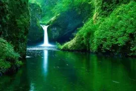 פאזל של paisagem linda