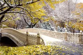 פאזל של paisagem linda