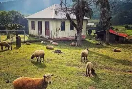 fazenda jigsaw puzzle