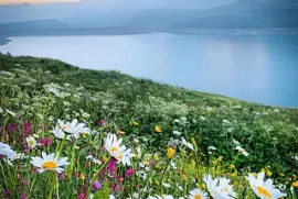 Lac du Mont-Cenis Valfréjus