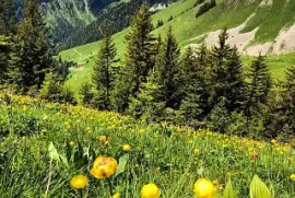 La Chapelle d 'Abondance Pays d 'Evian