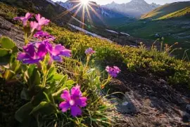 Col de la Croix-de-Fer Saint Sorlin d 'Arves - Les