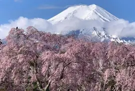 imagem jigsaw puzzle