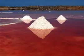 lagos rosa jigsaw puzzle