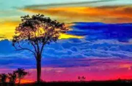 Paisajes de Venezuela jigsaw puzzle