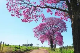 imagem jigsaw puzzle