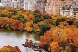 imagem jigsaw puzzle