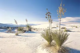 imagem jigsaw puzzle